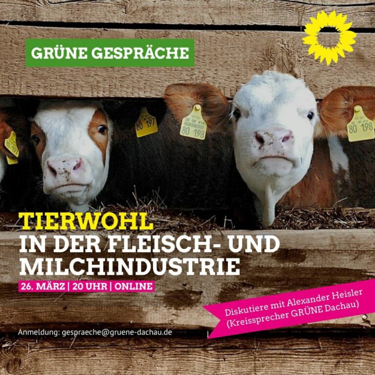 Tierwohl in der Fleisch- und Milchindustrie?